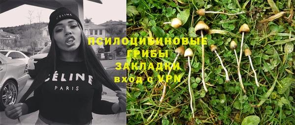 прущие крисы Белоозёрский