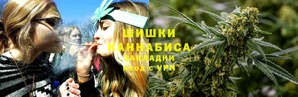 шишки Сатка