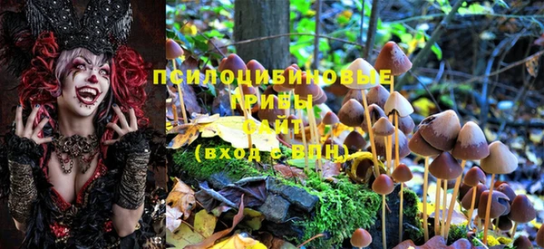 хмурый Балабаново