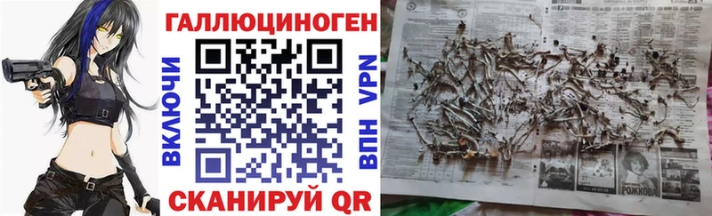 как найти закладки  Кувандык  Галлюциногенные грибы MAGIC MUSHROOMS 
